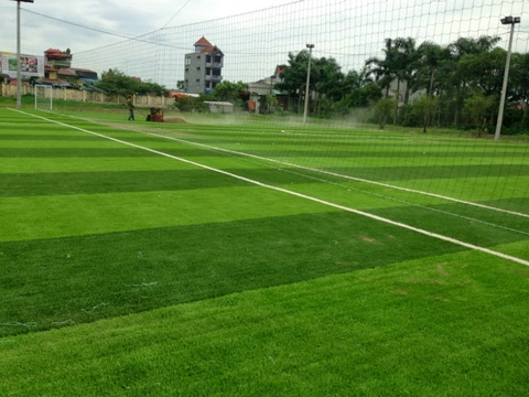 Sân cỏ nhân tạo