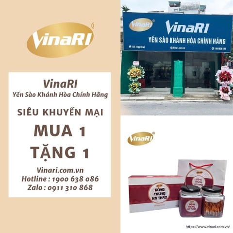 Yến sào có tốt cho xương khớp không là gì? Cách dùng yến sào đúng cách?