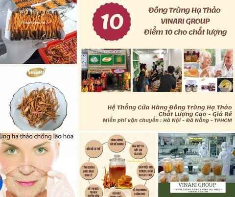 Đông trùng hạ thảo là gì