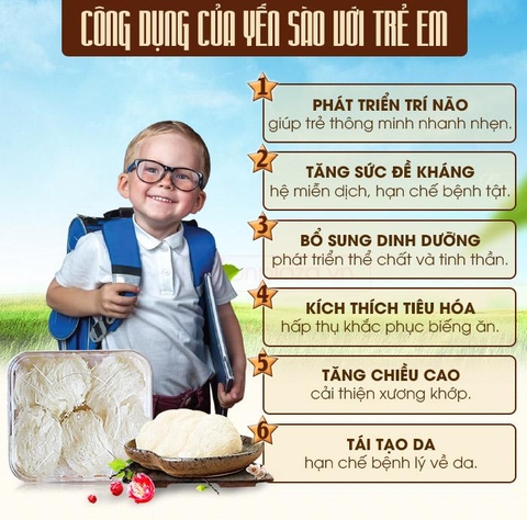 Tác Dụng Của Tổ Yến Sào Với Phụ Nữ Và Trẻ Em