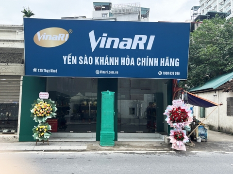 Yến Sào là gì? Ăn yến có béo không, an toàn không?