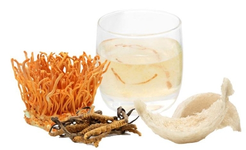 Tại sao yến sào và đông trùng hạ thảo được coi là bộ đôi không thể thiếu cho sức khỏe toàn diện
