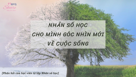 NHÂN SỐ HỌC CHO MÌNH GÓC NHÌN MỚI VỀ CUỘC SỐNG
