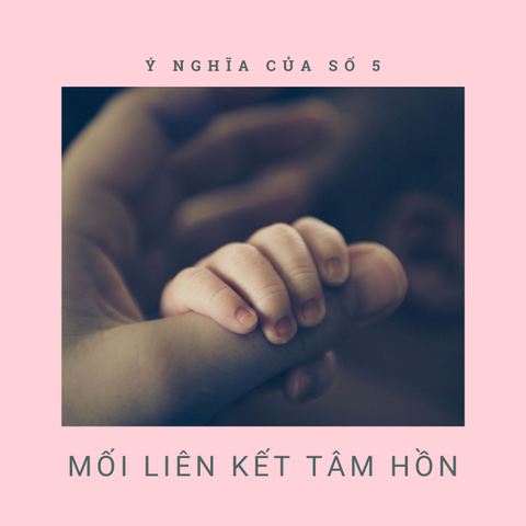 Ý Nghĩa Con Số 5
