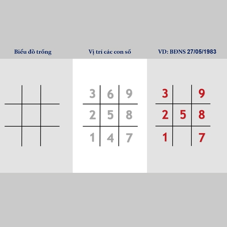 Cách Lập Biểu Đồ Ngày Sinh