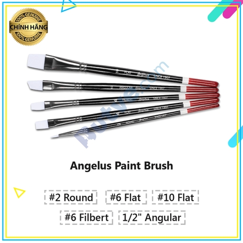 Bộ 5 cọ vẽ màu acrylic cao cấp dùng để tô màu Angelus Paint Brush