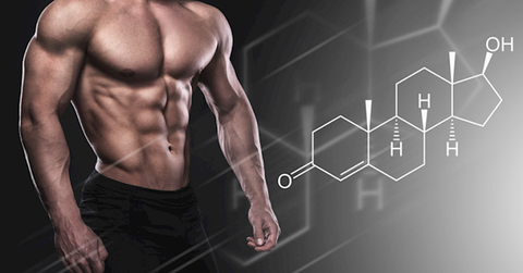 Testosterone là gì? Cách tăng testosterone tự nhiên hiệu quả cho nam giới