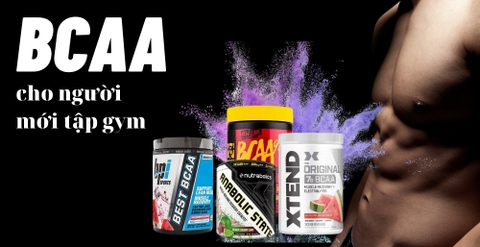 5 loại BCAA cho người mới tập gym phục hồi và nuôi cơ ổn định nhất