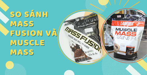 So sánh Mass Fusion và Muscle Mass, sữa tăng cân nào tốt hơn?