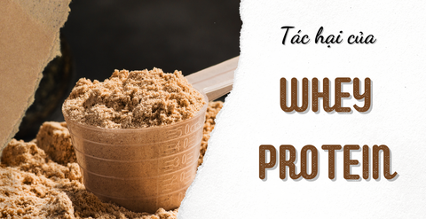Tác hại của whey protein là gì? Những lưu ý khi sử dụng whey