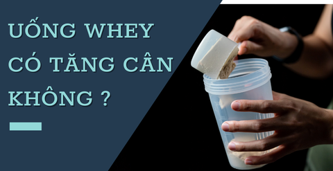 Uống Whey có tăng cân không? Người gầy nên uống gì để tăng cân?