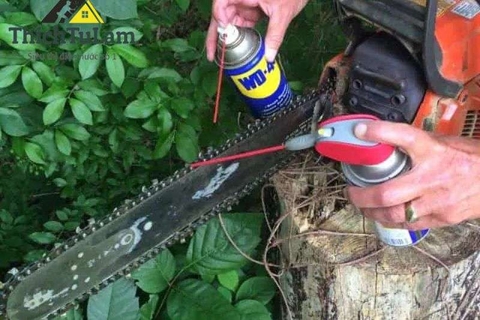 Hướng dẫn Bảo dưỡng Công cụ Máy cưa xích