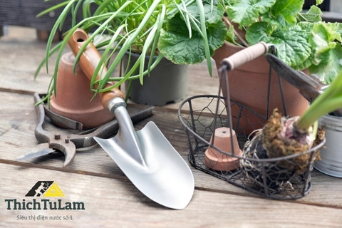 Cách làm sạch dụng cụ làm vườn