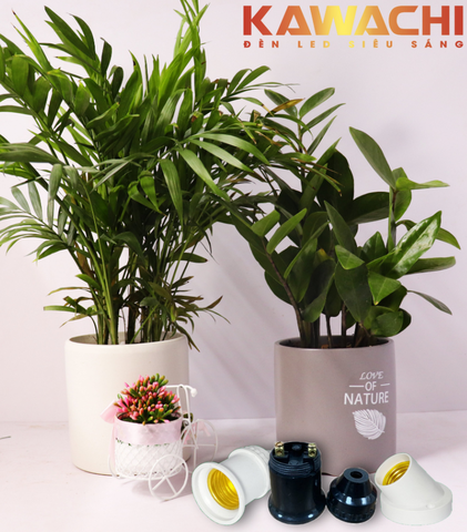 ĐUI ĐÈN KAWACHI - MANG CHẤT LƯỢNG ĐẾN CUỘC SỐNG ĐUI ĐÈN KAWACHI - MANG CHẤT LƯỢNG ĐẾN CUỘC SỐNG