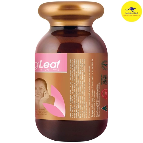 Viên uống Collagen chống lão hóa Spring Leaf Inner Beauty Collagen Plus 6 in 1 90 viên