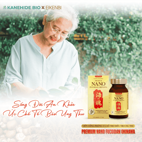Viên Uống Phòng & Hỗ Trợ Điều Trị Ung Thư Nano Fucoidan Okinawa Kanehide Bio x Eikenbi (Hộp 120 viên)