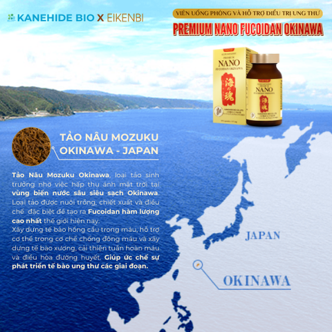 Viên Uống Phòng & Hỗ Trợ Điều Trị Ung Thư Nano Fucoidan Okinawa Kanehide Bio x Eikenbi (Hộp 120 viên)