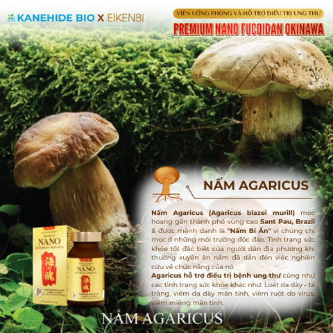 Viên Uống Phòng & Hỗ Trợ Điều Trị Ung Thư Nano Fucoidan Okinawa Kanehide Bio x Eikenbi (Hộp 120 viên)
