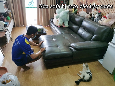 Dịch Vụ Bọc Lại Sofa Bị Mèo Cào Tận Nhà Giá Rẻ Hồ Chí Minh