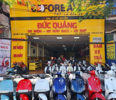 Xe đạp điện chính hãng tại Hải Phòng