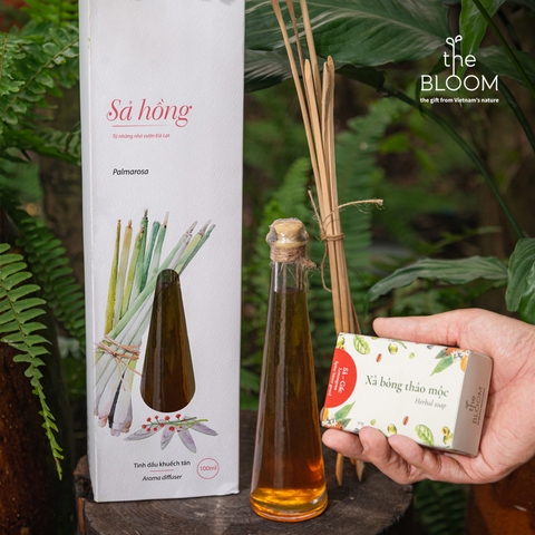 Hương Nắng