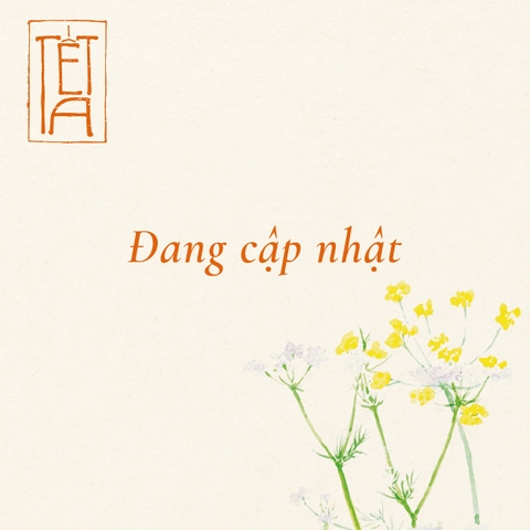 Bánh chưng chay nếp cái Hoa Vàng