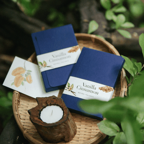 Set Tealight Nến Quế Vani