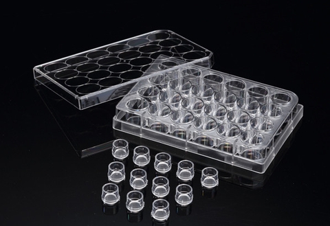 EZ-LINE TransInsert cell culture insert, 6-well, 24/case