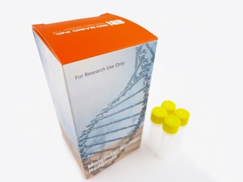 Green-2-Go qPCR Mastermix-Low ROX (500X20ul Rxn)