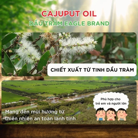 Dầu tràm Eagle Brand Cajuput Oil 30ml – Giữ ấm, phòng cảm lạnh, cảm cúm hiệu quả cho bé