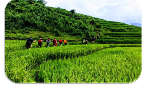 5 DAYS – HOANG SU PHI HIKING TRIP