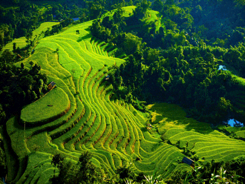 7 DAY HOANG SU PHI - HA GIANG ADVENTURE TOURS