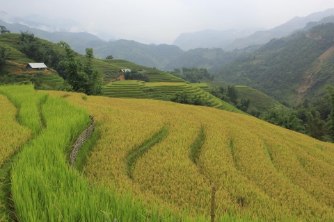 10 DAY BAC HA - HOANG SU PHI OFF ROAD MOUNTAIN BIKE