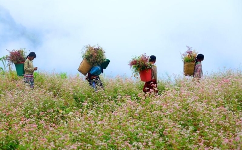 5 DAYS HA GIANG  ADVENTURE LOOP TOURS