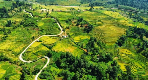 7 DAY SAPA - YTY MOUNTAIN BIKE CHALLENGE TRAIL