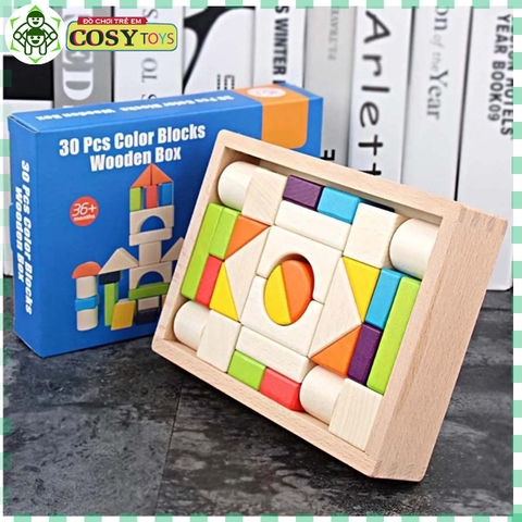 Đồ chơi phát triển trí tuệ xếp hình bằng gỗ với 30 hình khối khác nhau cho bé