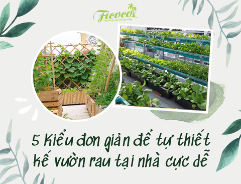 5 KIỂU ĐƠN GIẢN ĐỂ TỰ THIẾT KẾ VƯỜN RAU TẠI NHÀ CỰC DỄ