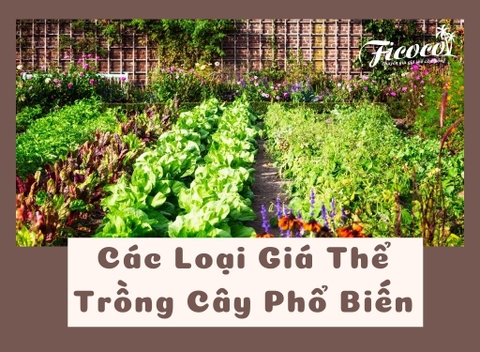 CÁC LOẠI GIÁ THỂ TRỒNG CÂY PHỔ BIẾN VÀ CÁCH LỰA CHỌN GIÁ THỂ PHÙ HỢP