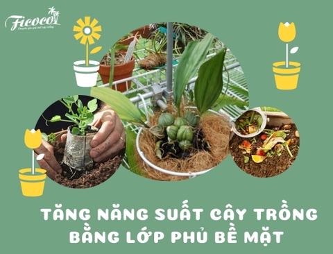 TĂNG NĂNG SUẤT CÂY TRỒNG BẰNG LỚP PHỦ BỀ MẶT 