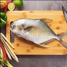 Cá chim vành anh tươi Phú Quý KAIFOOD 1kg ( không dăm đá )