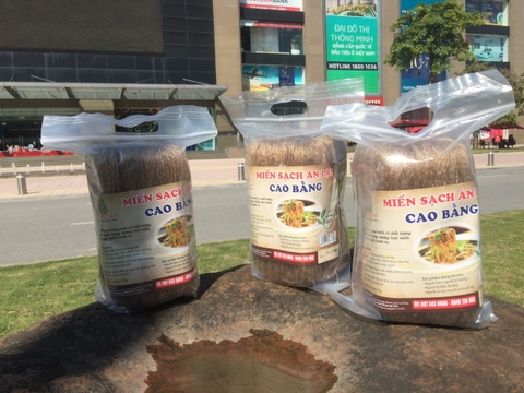 Miến Dong Cao Bằng Miến Dong Cao Bằng