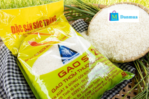Gạo ST25 Sóc Trăng chính hãng, giá tận gốc Gạo ST25 Sóc Trăng chính hãng, giá tận gốc