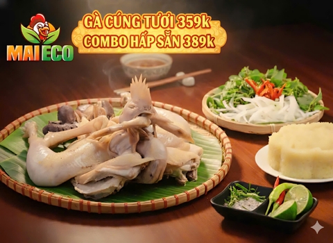 Gà Cúng Đà Nẵng: Gà Cùa Quảng Trị Mai Eco - Vàng Óng, Thơm Ngon, Giao Tận Nơi