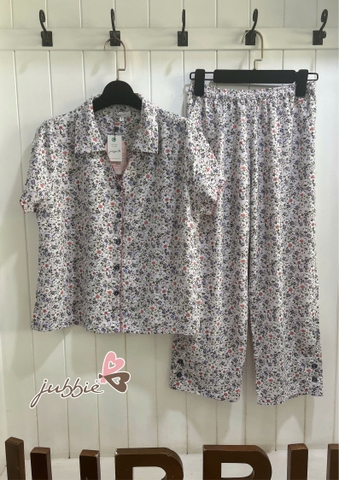 BLD Cổ viền đăng - 64018