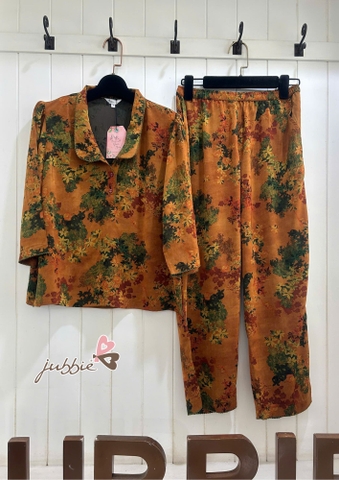 BD Cổ bẻ viền đăng - 64019