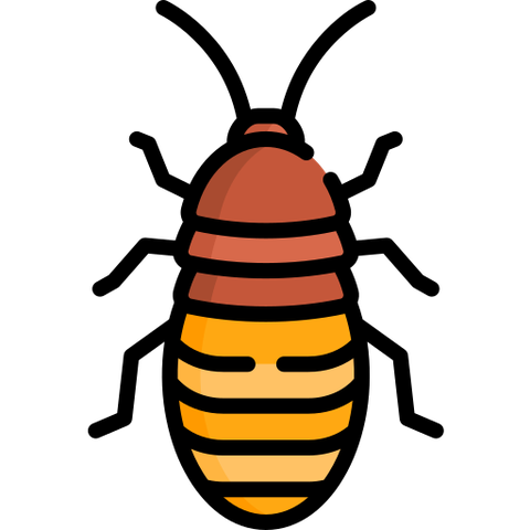 Diệt Gián