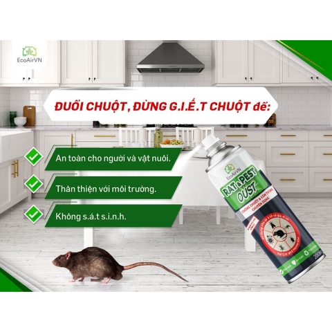 Chai Xịt Đuổi Chuột - Côn Trùng Rat Pest Oust