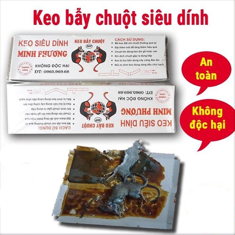 Keo Dính Chuột - Loại Hộp