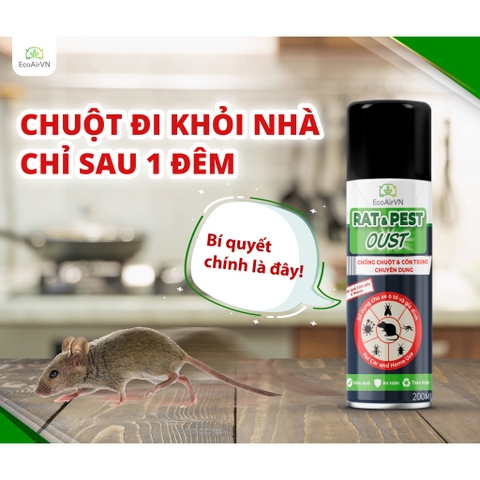 Chai Xịt Đuổi Chuột - Côn Trùng Rat Pest Oust