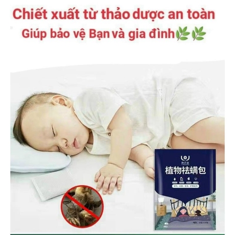 Thảo Dược Diệt Mạt Giường - Rệp - Các Loại Bọ